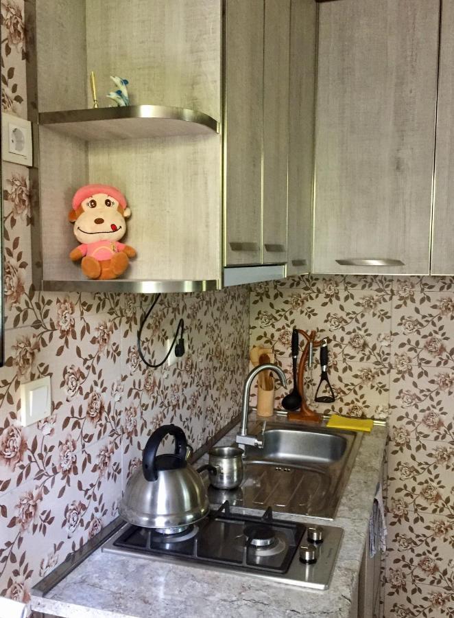 Family Apartment Боржомі Екстер'єр фото